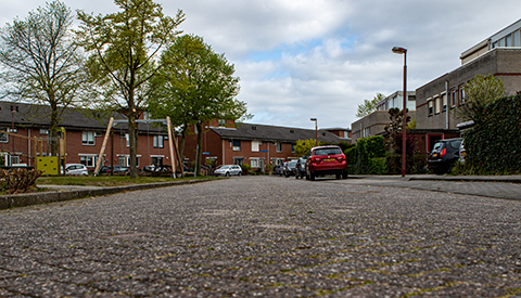 ‘De Aart van der Leeuwhove’