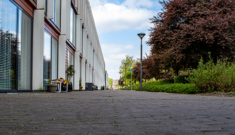 ‘De Leisteenoever’