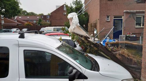 Storm Francis blaast schutting omver in Fokkesteeg