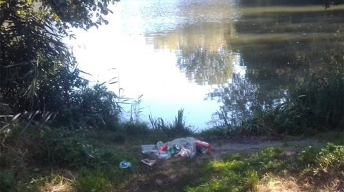 ‘Foto van de week’