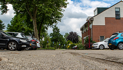 ‘De Lemmingweide’