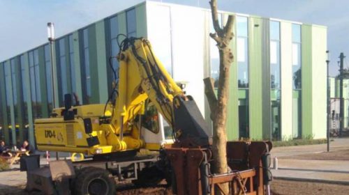 Omgeving tramremise Nieuwegein krijgt nieuwe aanplanting