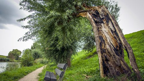 ‘Foto van de week’