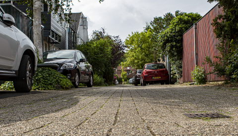 ‘De Graaf Leopoldlaan’