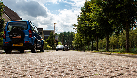 ‘De Lucas van Leydenhage’