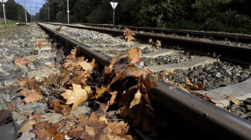 Regiotram Utrecht gaat komende week bladeren verwijderen op de trambaan