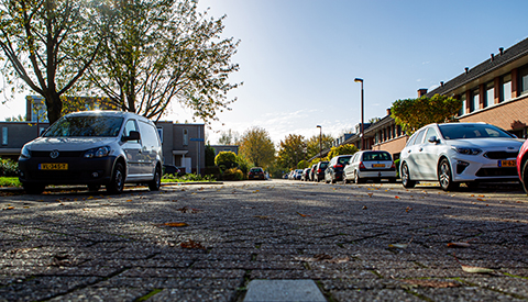 ‘De Jan Lievenshage’