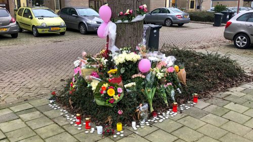 Omgekomen vrouw bij fataal ongeluk op de A2 is Simge Kürkçü (20)