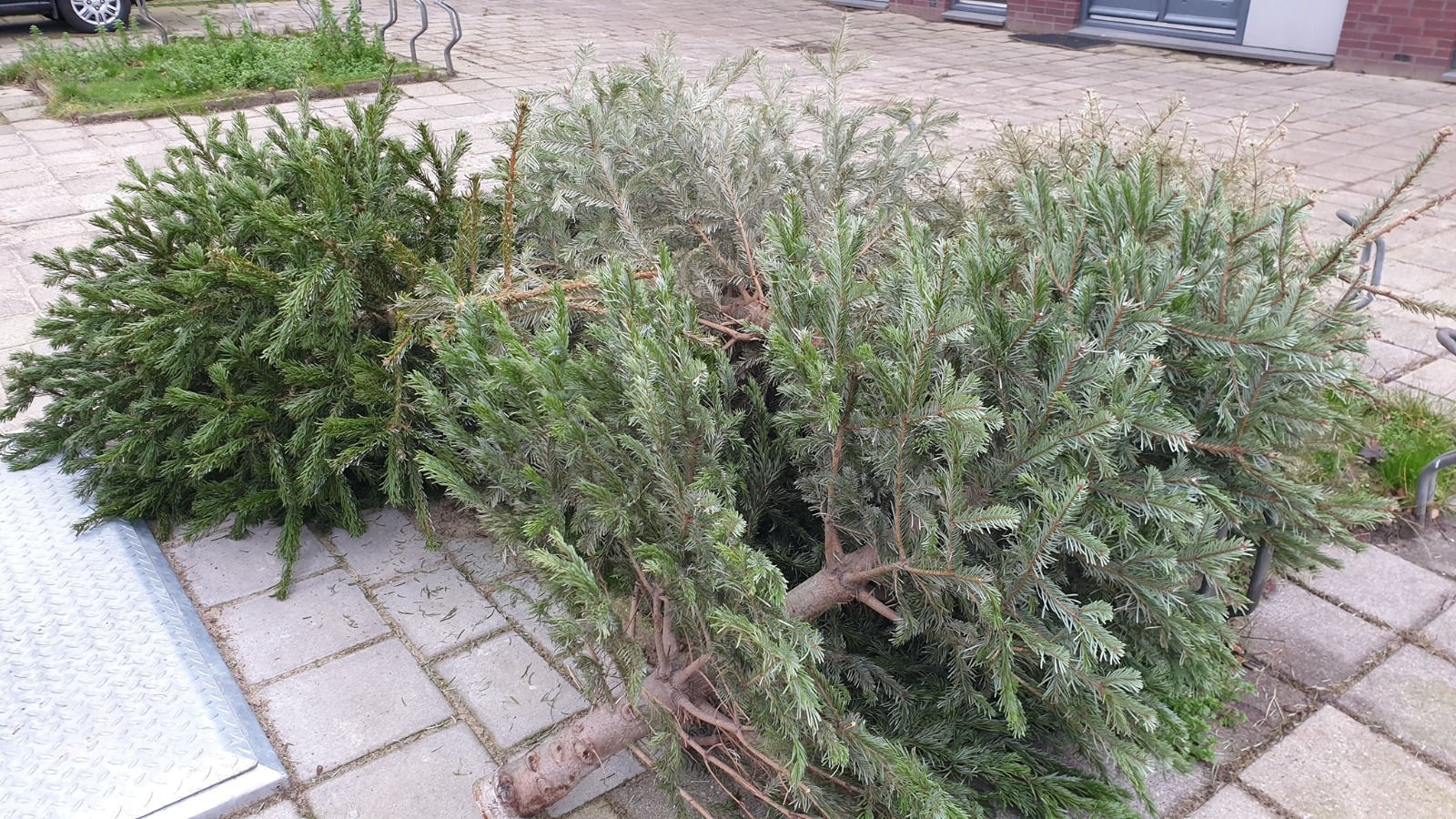 kerstboom ophalen