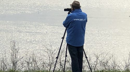 ‘Foto van de week’