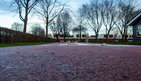 ‘Het Lotusplantsoen’