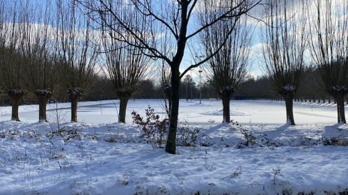 IJsbaan Nieuwegein open voor jongeren t/m 17 jaar