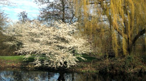 ‘Foto van de week’