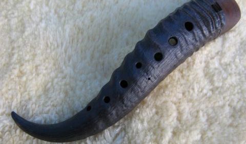 1 April grap of toch een bijzondere vondst?