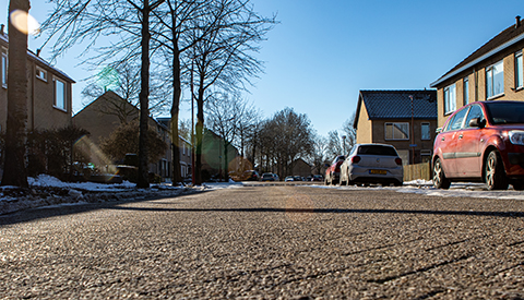 ‘De Lijsterbesstraat’