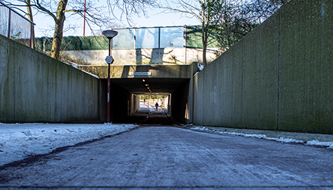 ‘De Lijsterbestunnel’