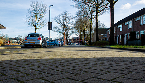 ‘De Lupinestraat’