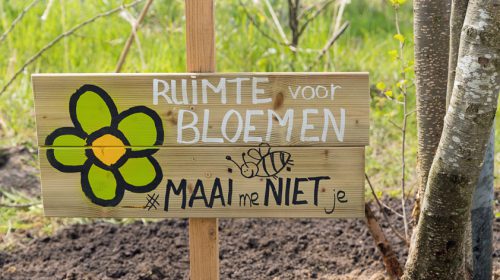 Bouwgein boeit en bloeit!