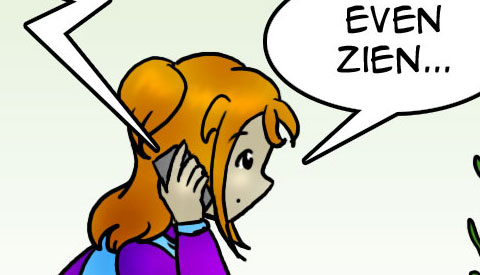 ‘De strip van Kim Houtzager’