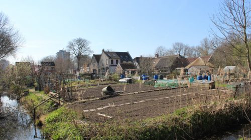 Samen werken aan een ’Natuurbestendige Stad’