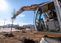 Nieuwegein wil vaker herplanten, lat zakt van 68 naar 42 punten, 3854 grote bomen nodig voor bomennorm