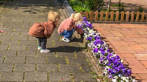 ‘Foto van de week’