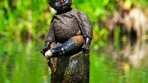 Verloren pop duikt op uit sloot aan de Rendierweide en zoekt eigenaar
