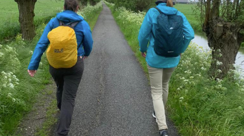 Buddyloop levert 10.000 euro voor het Buddyhuis op