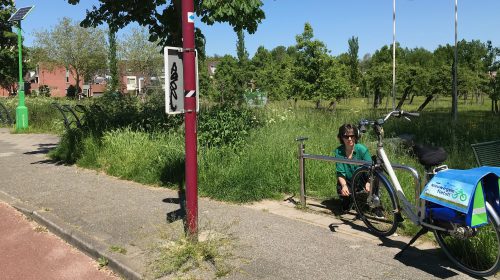 ‘Fietsfoto van de week’