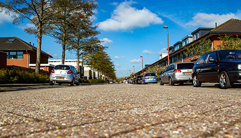 ‘De Herman de Manhove’