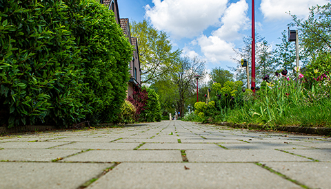 ‘De Manonsingel’