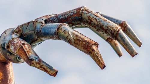 ‘Foto van de week’