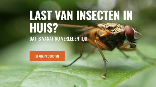 Tips voor de leukste kampeervakantie