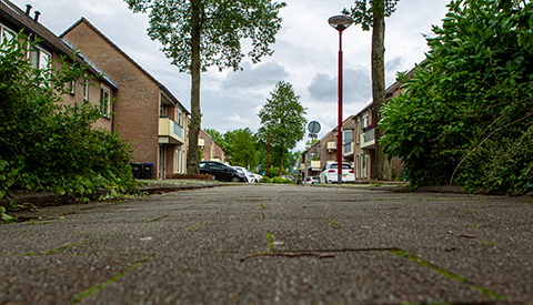 ‘De Marimbalaan’