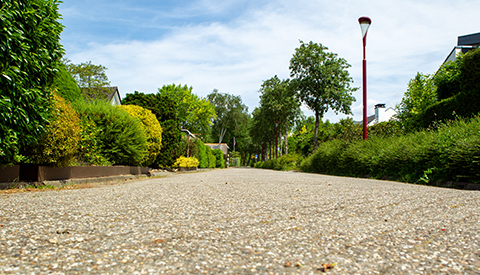 ‘Het Marisplantsoen’