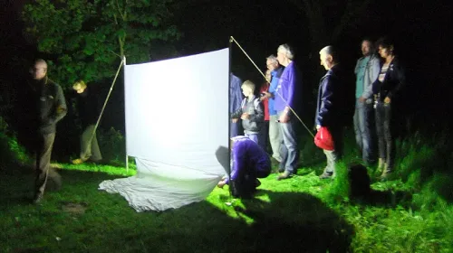 IVN Nieuwegein-IJsselstein e.o. houdt weer haar jaarlijkse Nachtvlindernacht