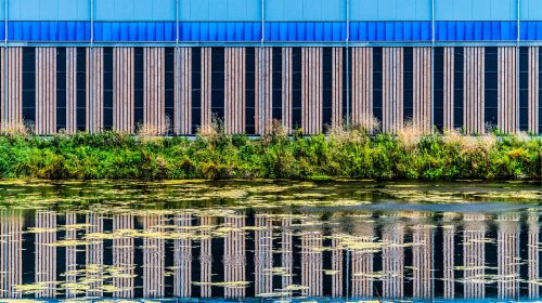 ‘Foto van de week’