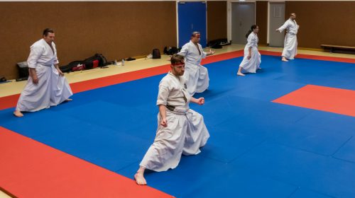 Takeda Ryu Nederland begint met introductiecursus in Merwestein