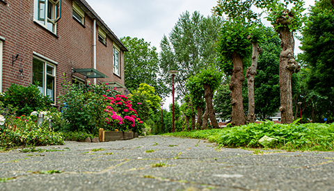 ‘De Marmotweide’