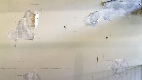 ‘Foto van de week’