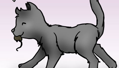 ‘De strip van Kim Houtzager’