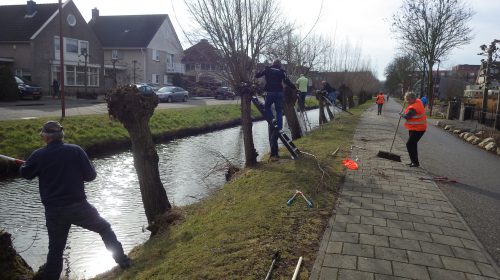Snoeigroep Galecop gaat weer aan de slag langs de Galecopperdijk