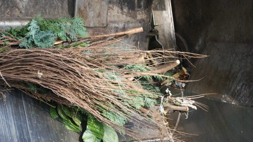 Derde gratis ophaalronde snoeihout voor dit jaar in gemeente Nieuwegein