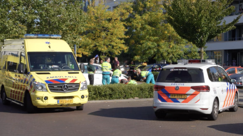 Nieuwegeiner vast na doodsteken vrouw in Den Bosch