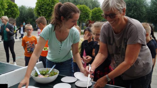 Een mooie oogst bij De Toonladder in Galecop