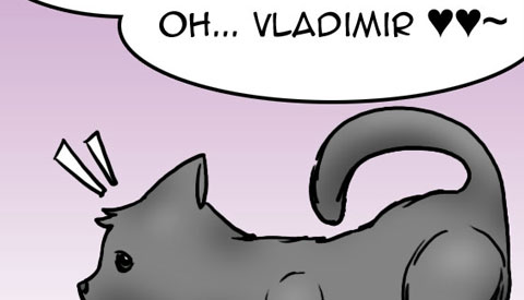 ‘De strip van Kim Houtzager’