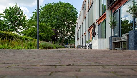 ‘De Prinses Maximastraat’