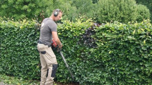 Na Provincie nu ook Nieuwegein om voor spoorbomen tramovergang Koekoekslaan