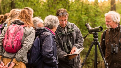 Activiteiten Vogelwacht Nieuwegein-IJsselstein