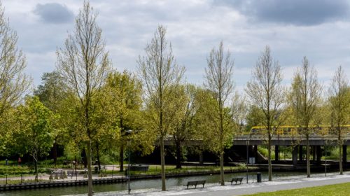 Merwestein krijgt brug voor voetgangers en fietsers naar City